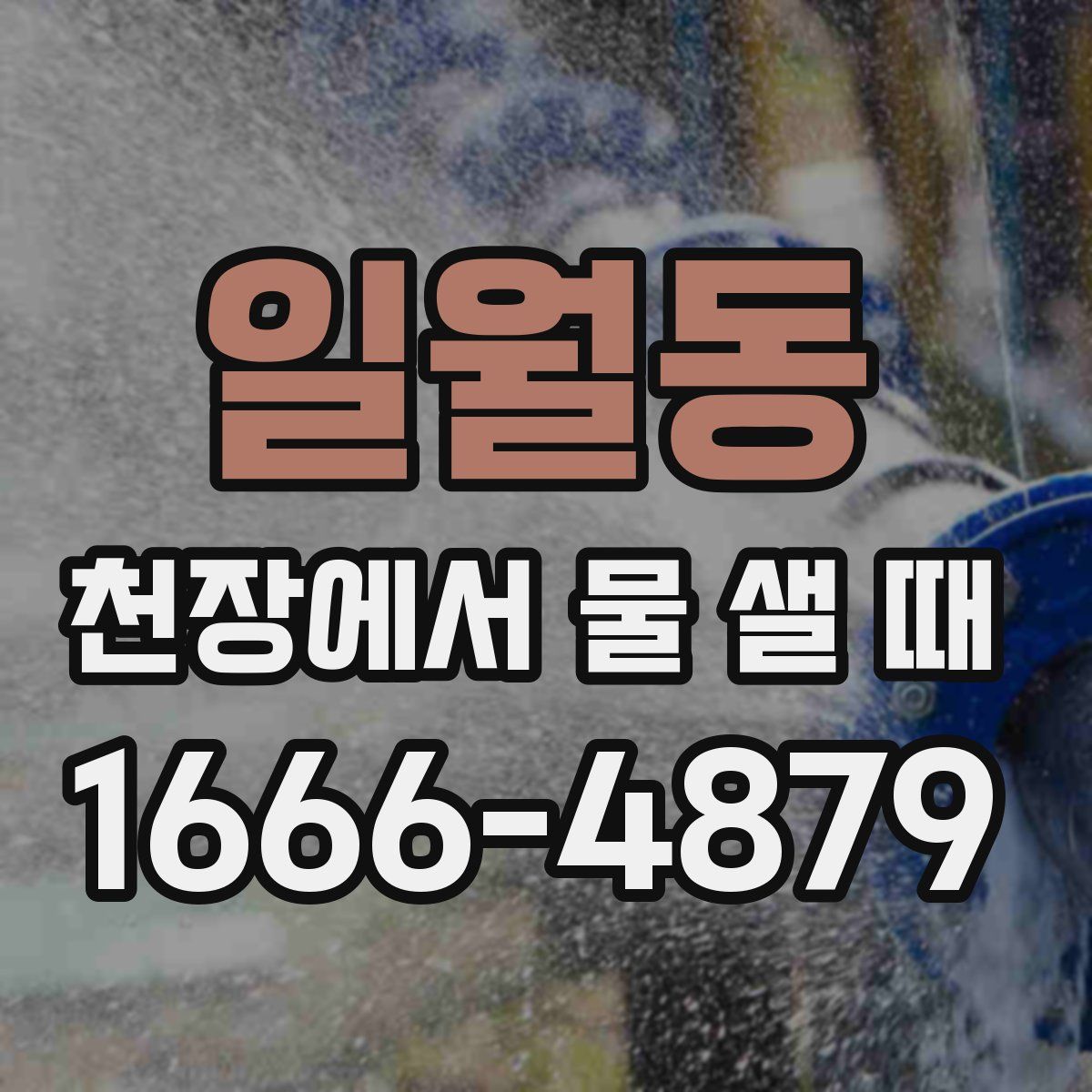 일월동 천장에서 물 샐 때