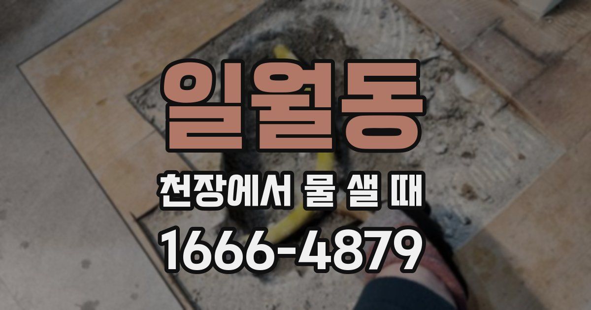일월동 천장에서 물 샐 때