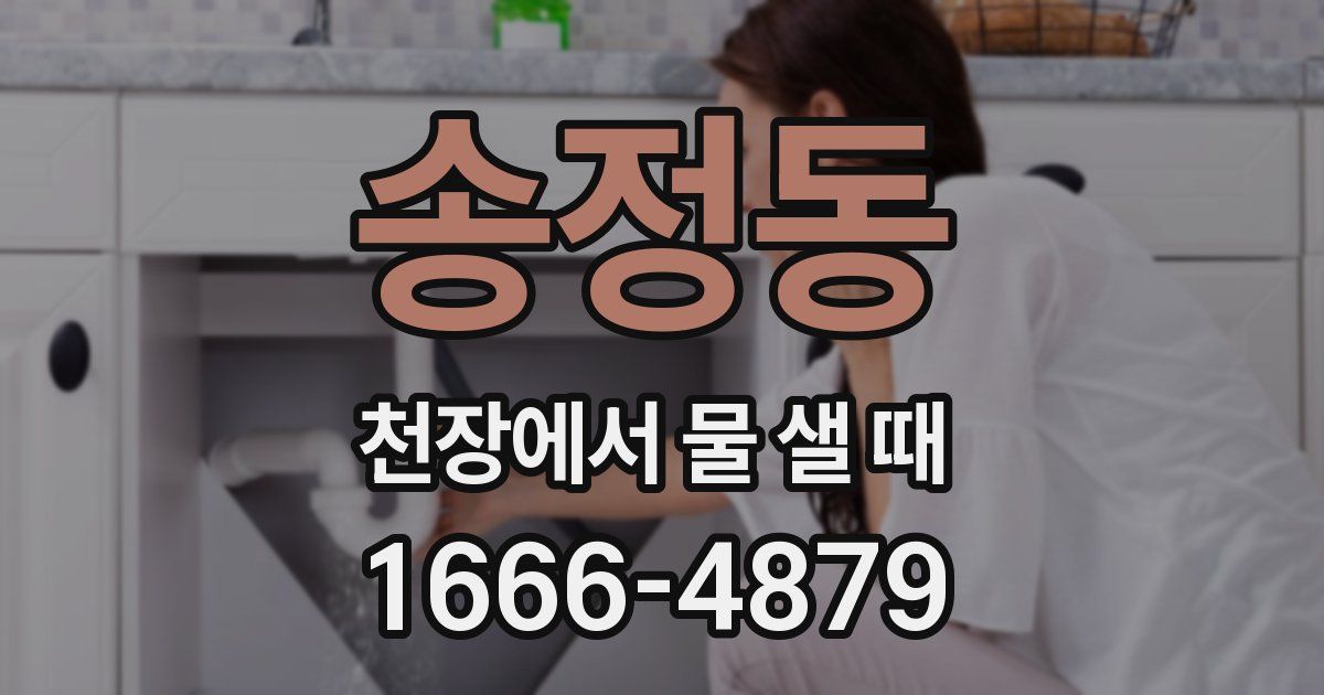 송정동 천장에서 물 샐 때