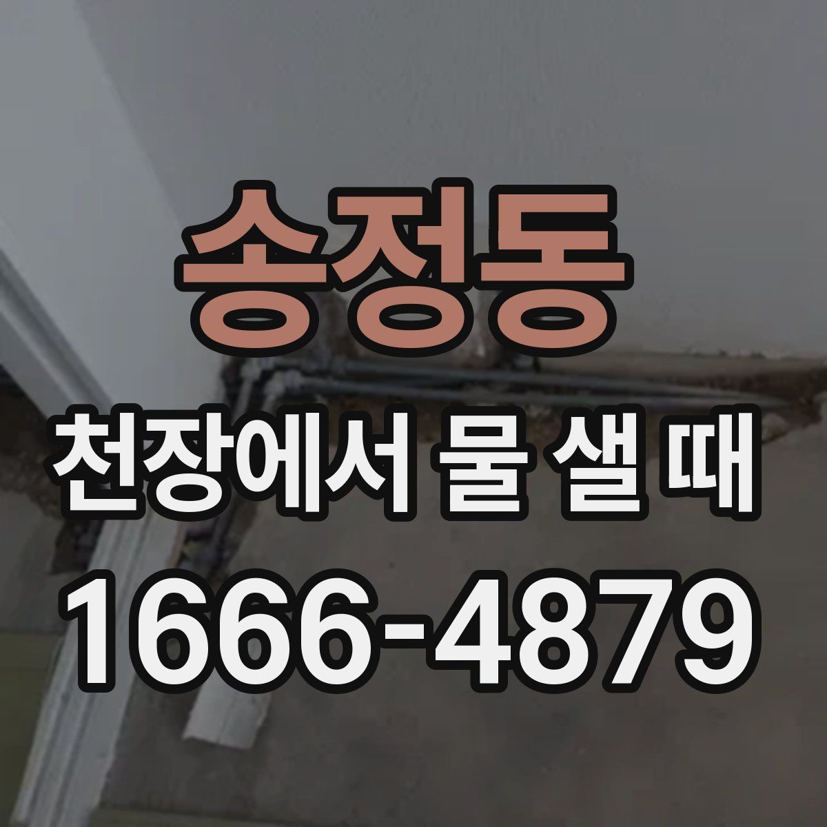 송정동 천장에서 물 샐 때