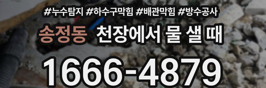 송정동 천장에서 물 샐 때