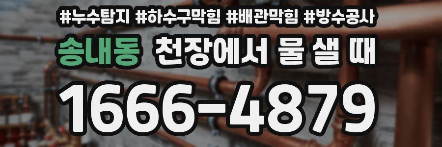 송내동 천장에서 물 샐 때