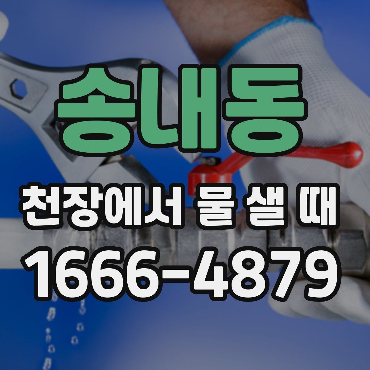 송내동 천장에서 물 샐 때