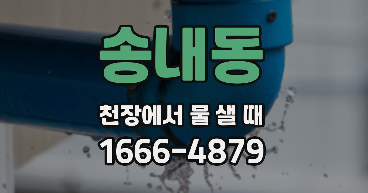 송내동 천장에서 물 샐 때