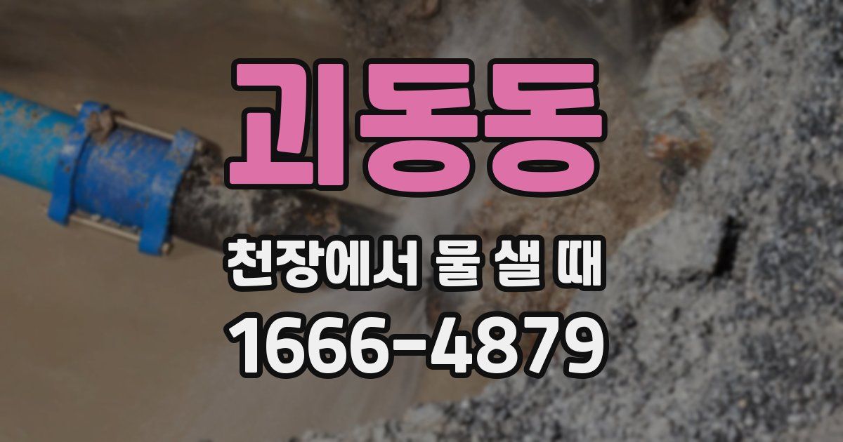 괴동동 천장에서 물 샐 때