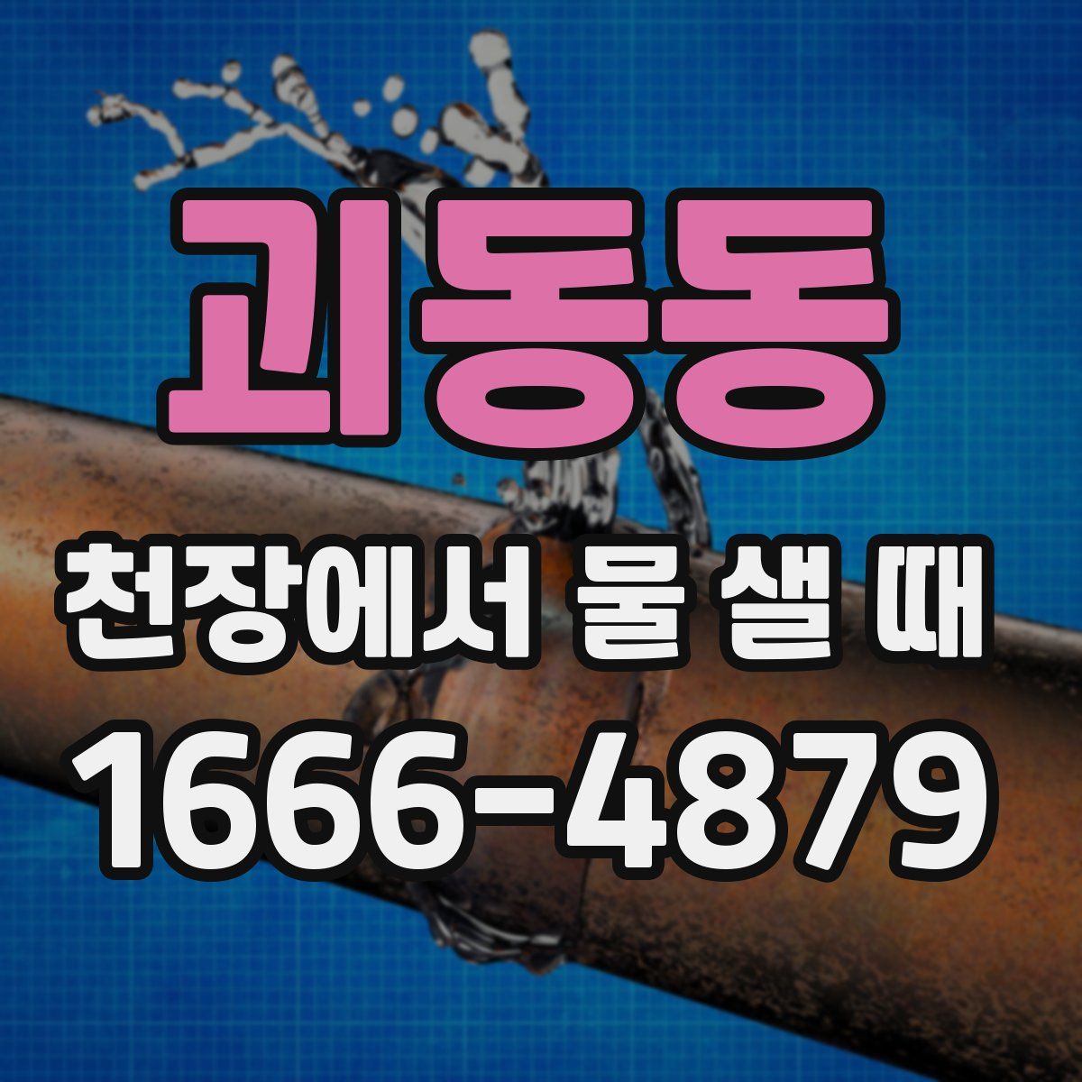 괴동동 천장에서 물 샐 때