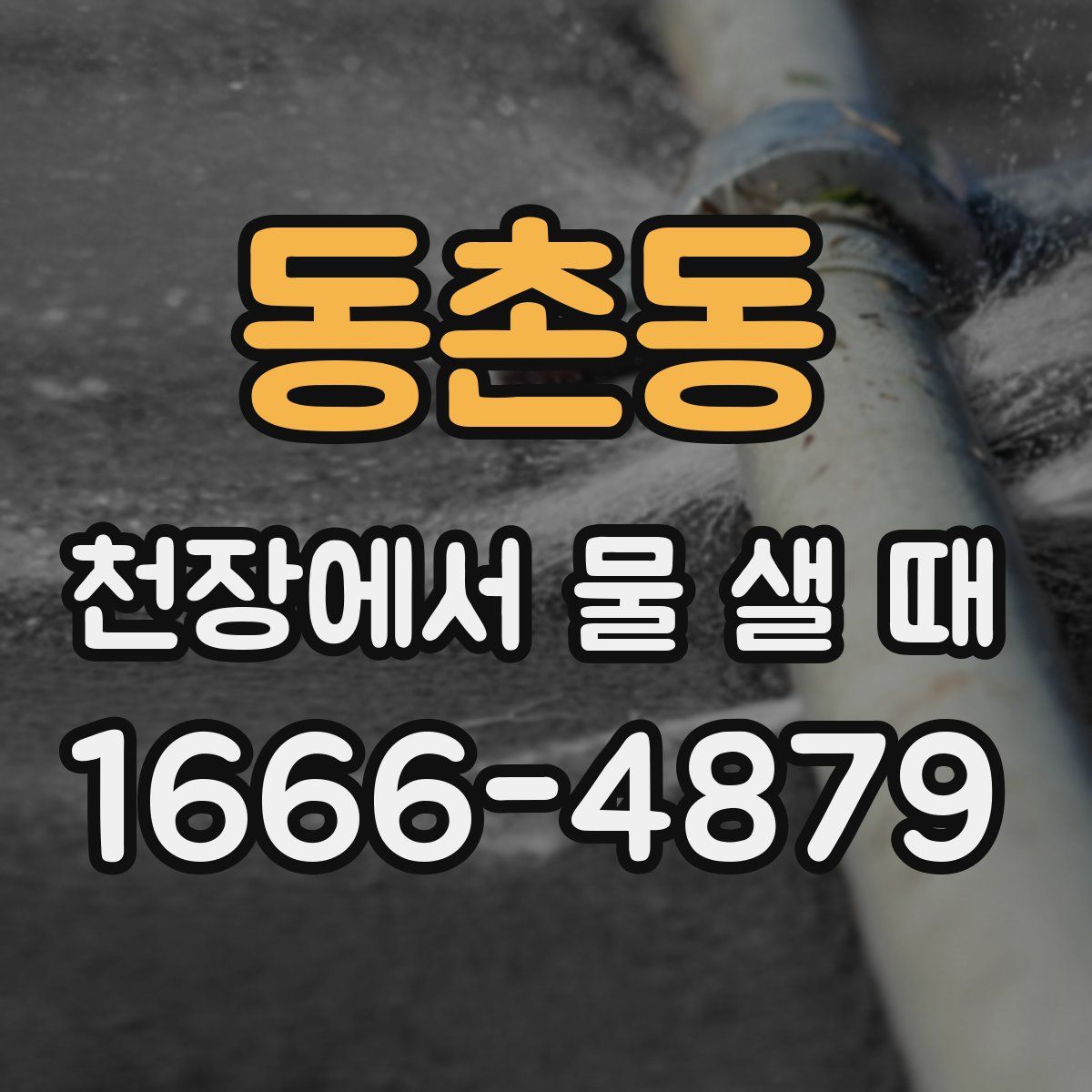 동촌동 천장에서 물 샐 때