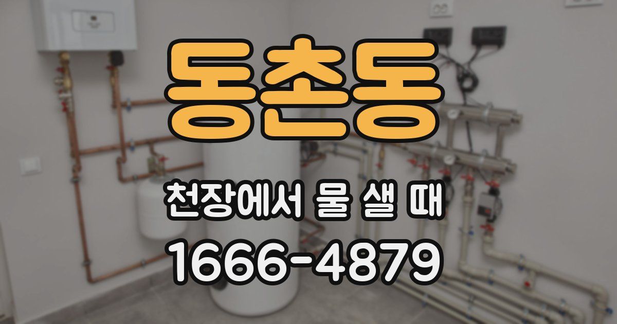 동촌동 천장에서 물 샐 때