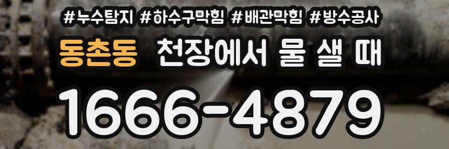 동촌동 천장에서 물 샐 때