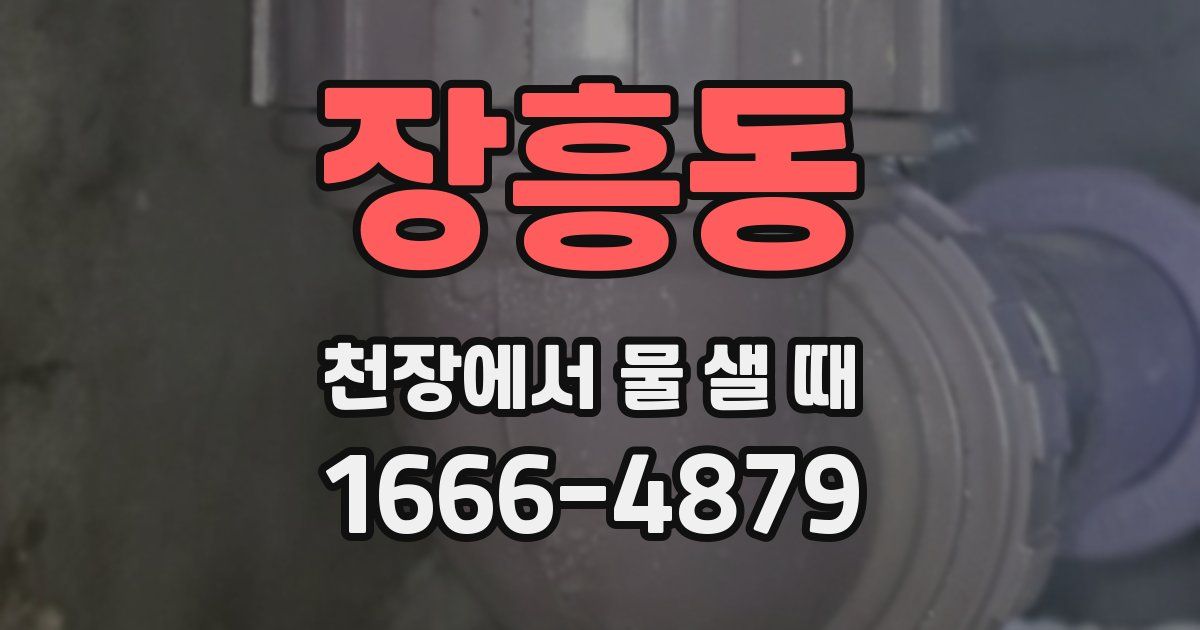 장흥동 천장에서 물 샐 때