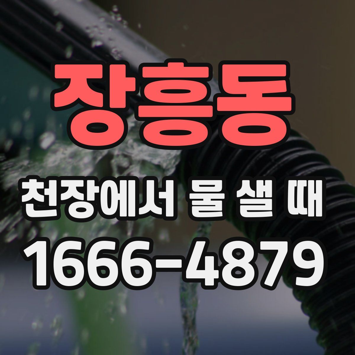 장흥동 천장에서 물 샐 때