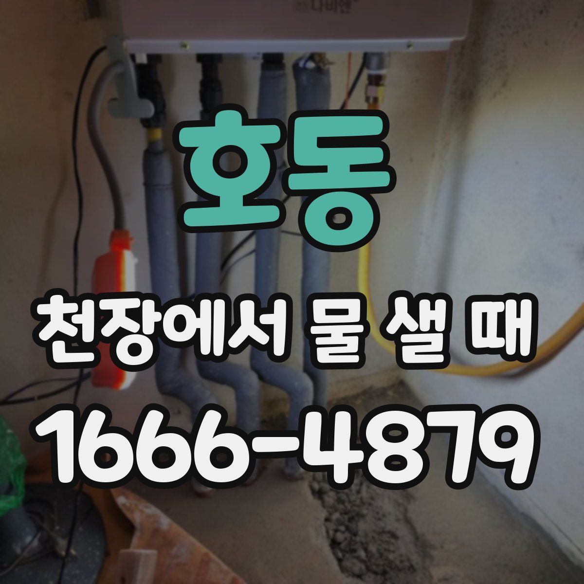 호동 천장에서 물 샐 때