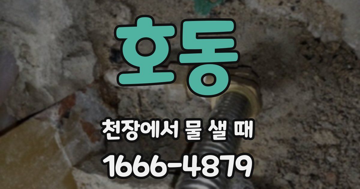 호동 천장에서 물 샐 때