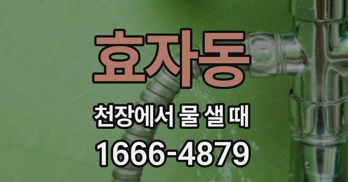 효자동 천장에서 물 샐 때