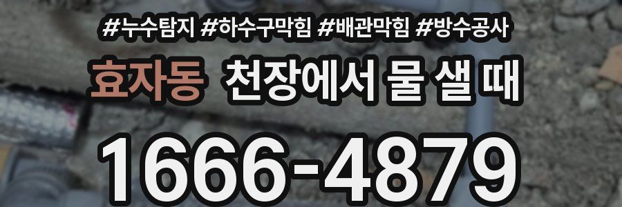 효자동 천장에서 물 샐 때