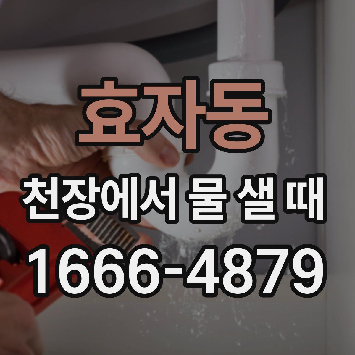 효자동 천장에서 물 샐 때
