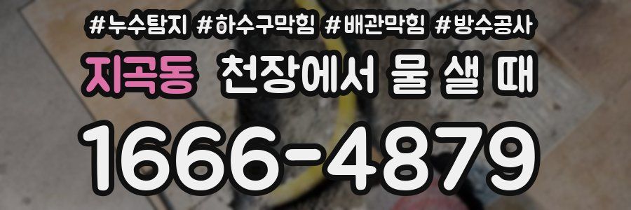 지곡동 천장에서 물 샐 때