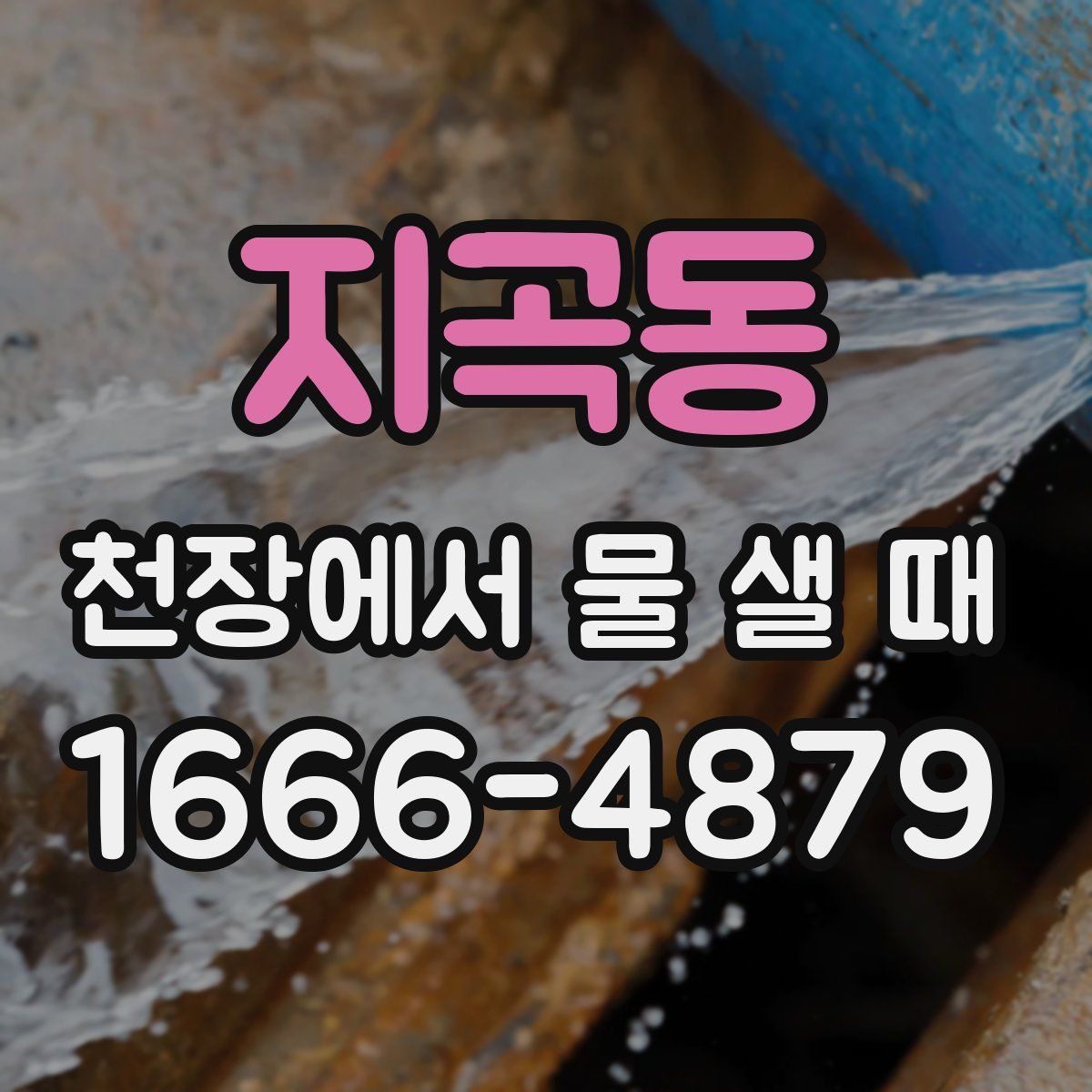 지곡동 천장에서 물 샐 때