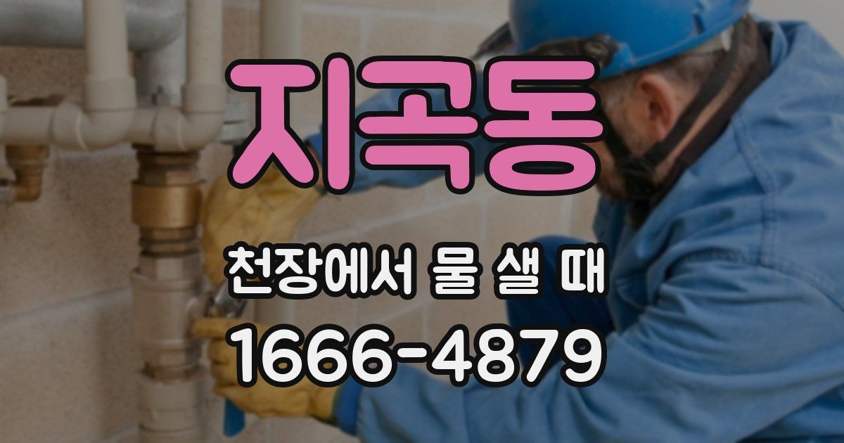 지곡동 천장에서 물 샐 때