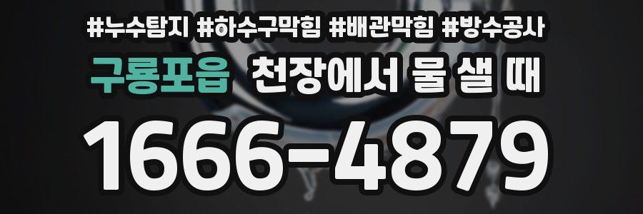 구룡포읍 천장에서 물 샐 때