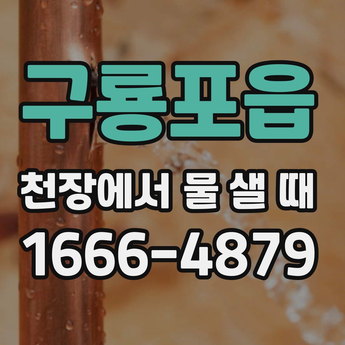 구룡포읍 천장에서 물 샐 때