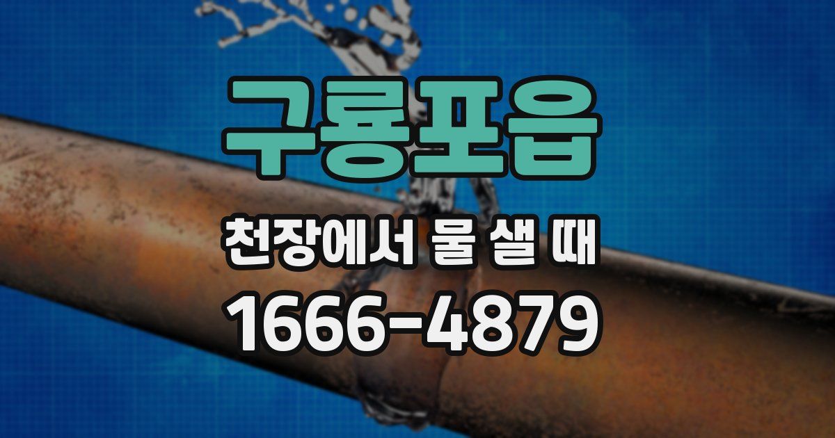 구룡포읍 천장에서 물 샐 때