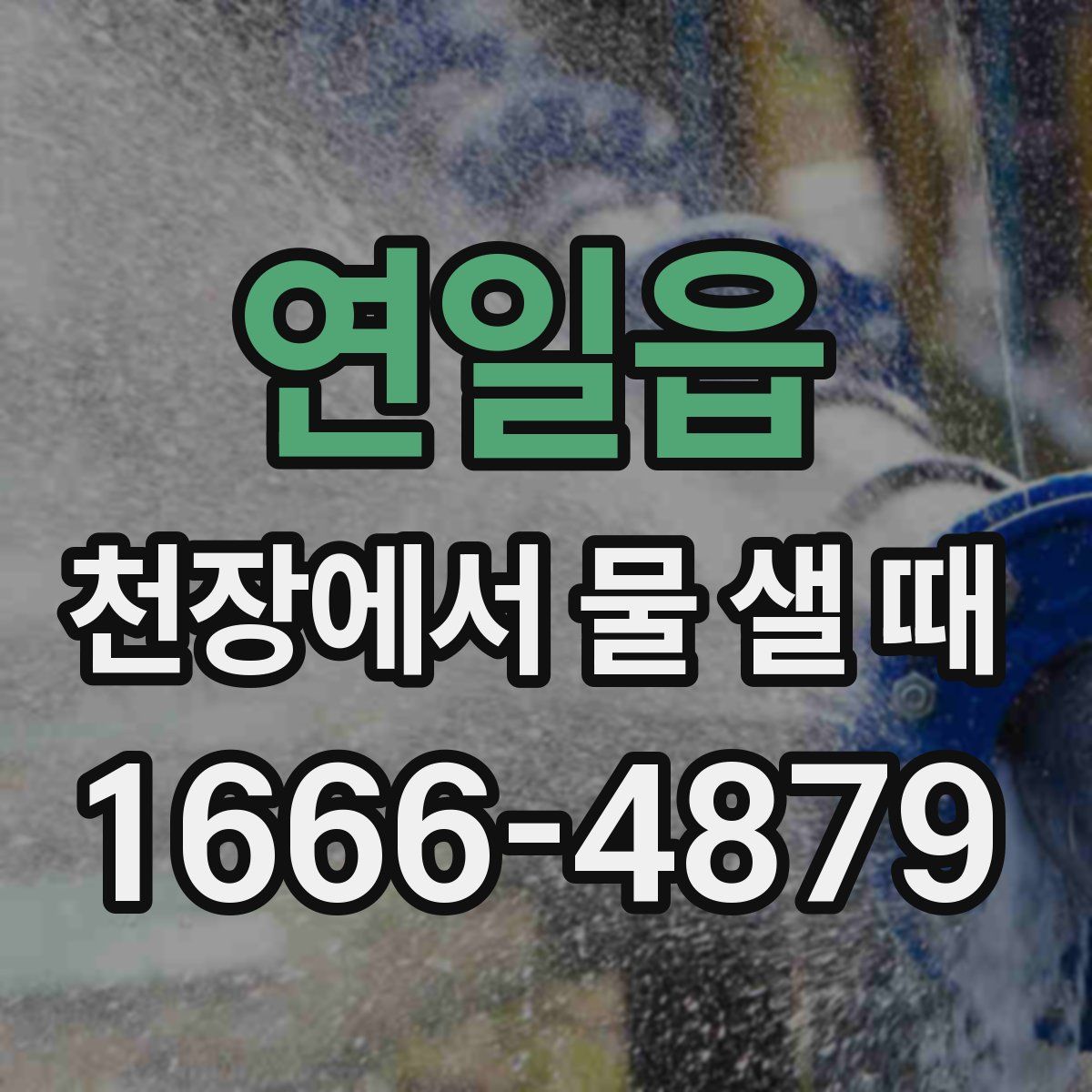 연일읍 천장에서 물 샐 때
