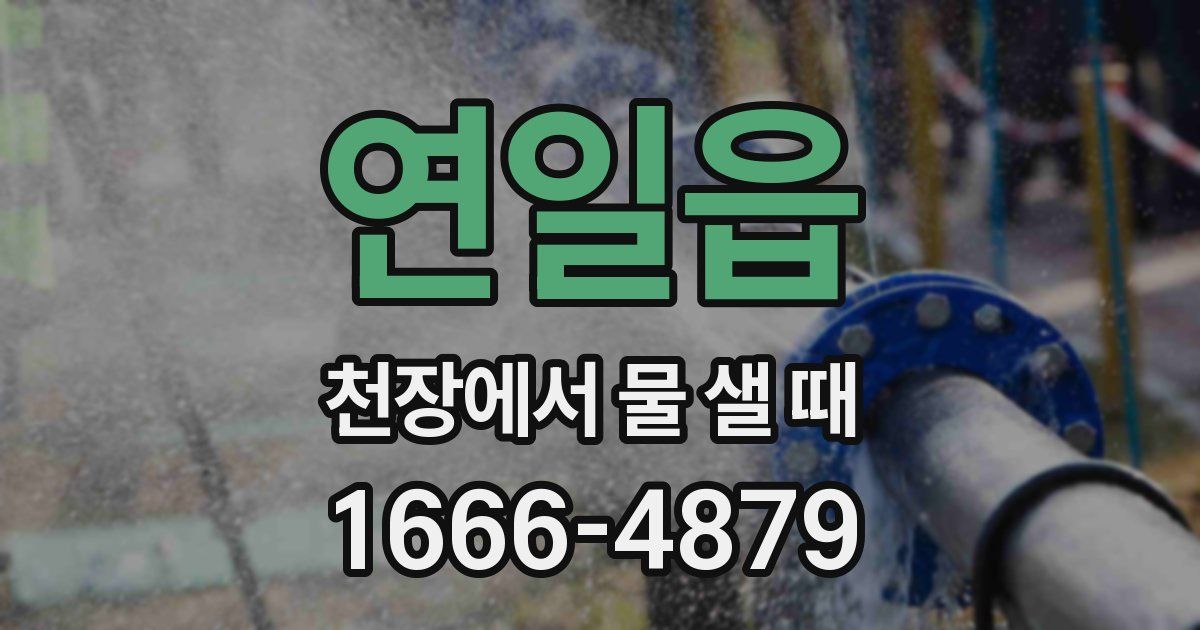 연일읍 천장에서 물 샐 때