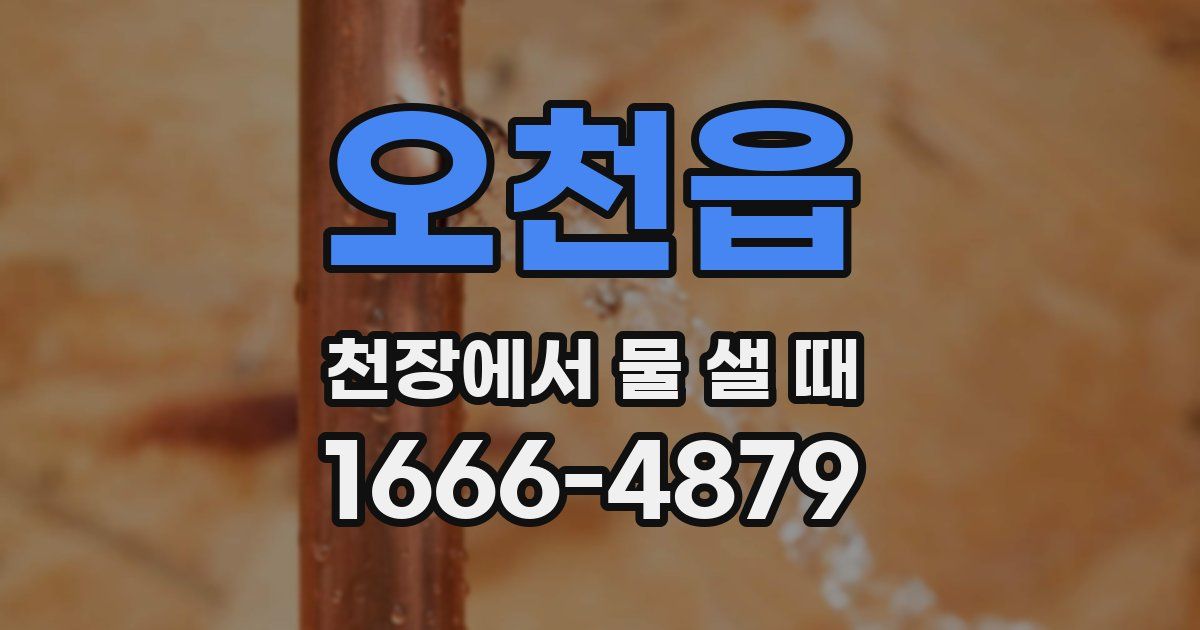 오천읍 천장에서 물 샐 때