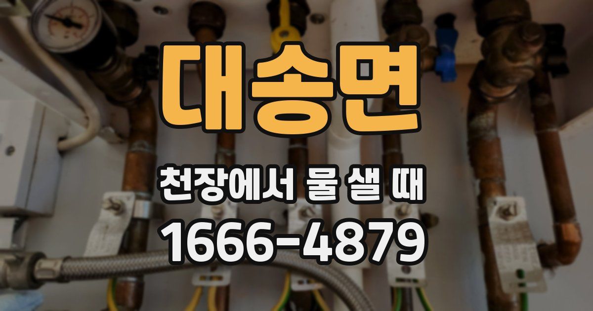대송면 천장에서 물 샐 때