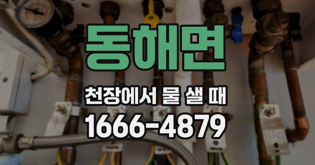 동해면 천장에서 물 샐 때