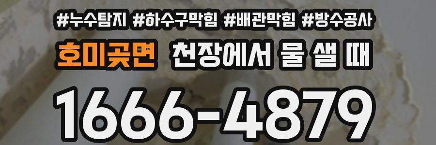 호미곶면 천장에서 물 샐 때