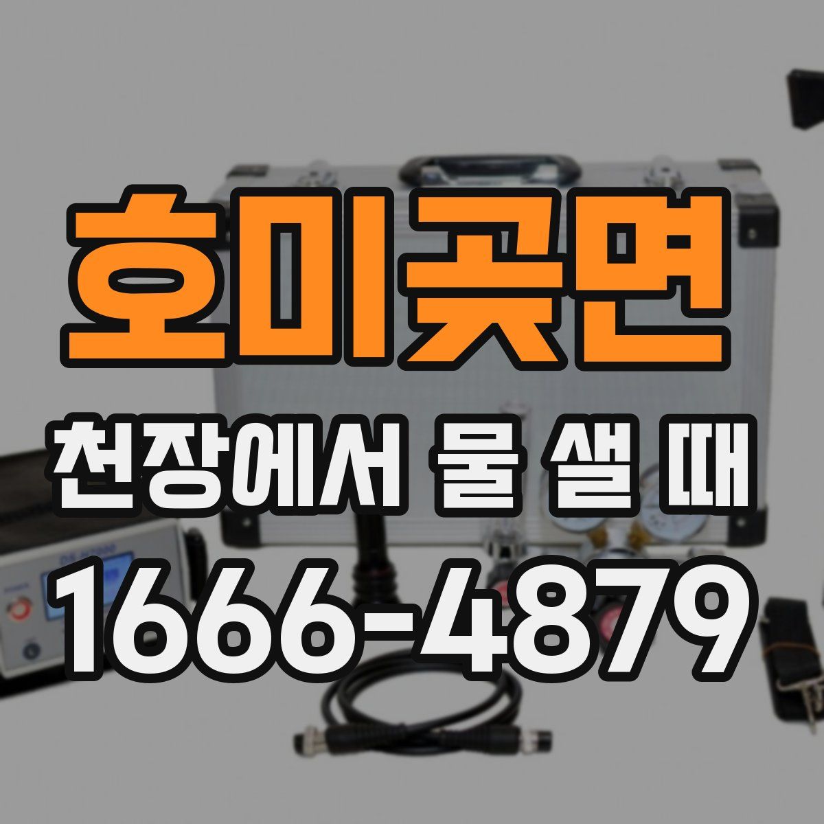 호미곶면 천장에서 물 샐 때