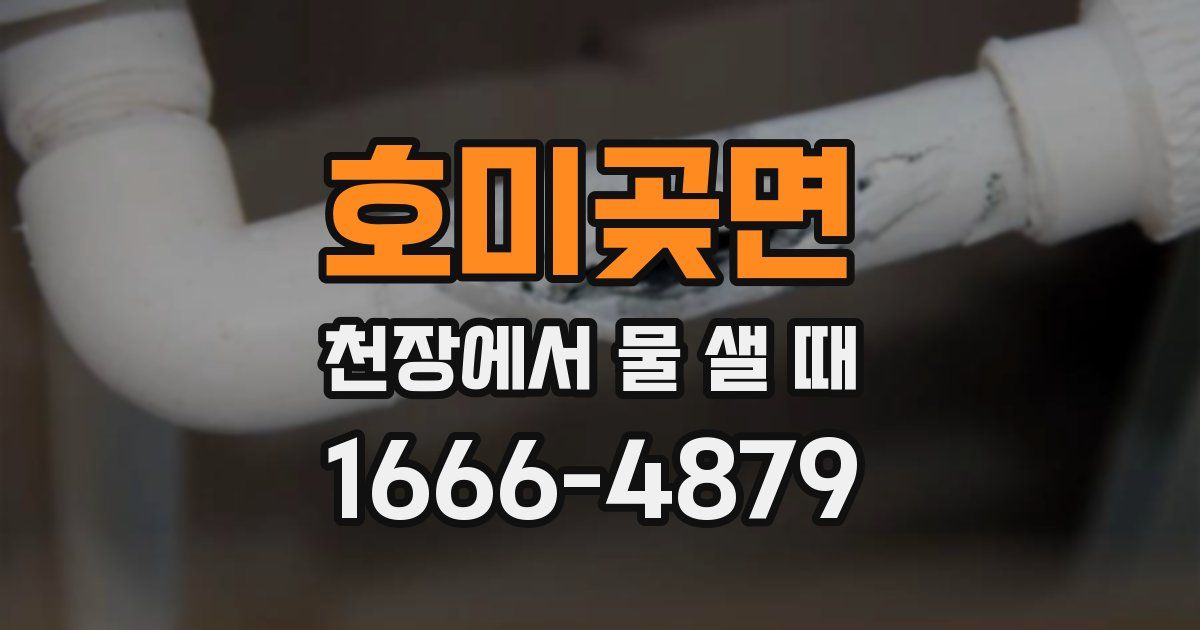 호미곶면 천장에서 물 샐 때