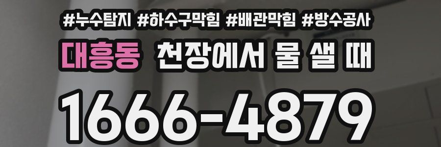 대흥동 천장에서 물 샐 때
