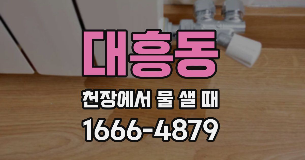 대흥동 천장에서 물 샐 때