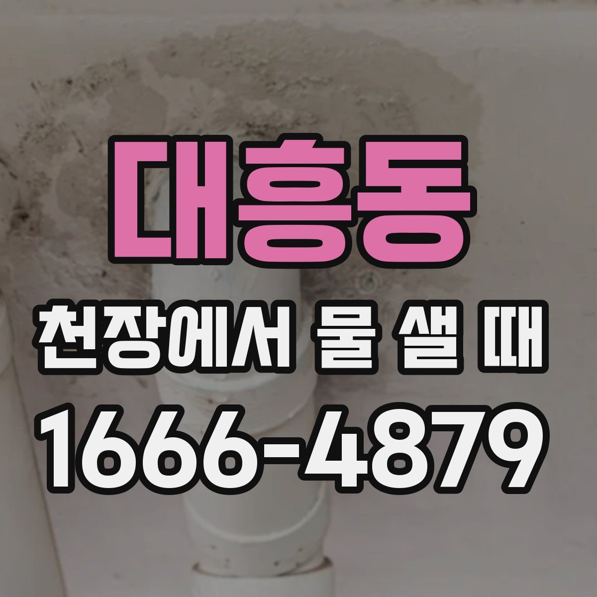 대흥동 천장에서 물 샐 때