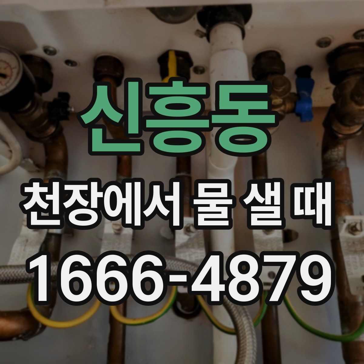 신흥동 천장에서 물 샐 때