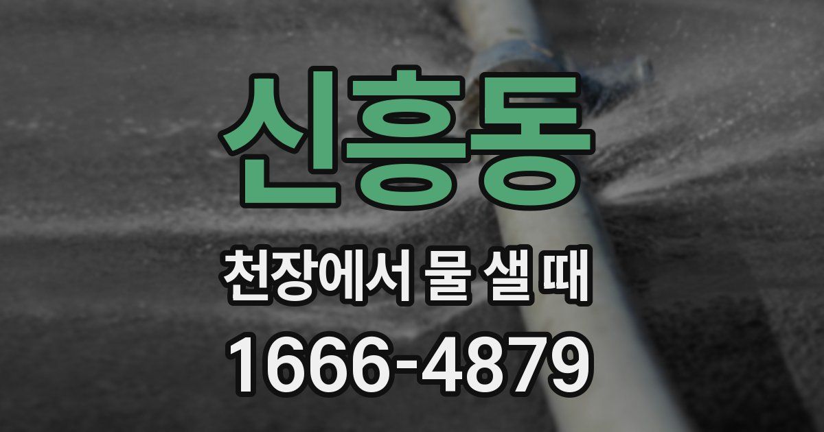 신흥동 천장에서 물 샐 때