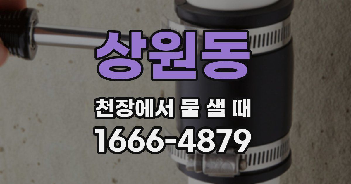 상원동 천장에서 물 샐 때