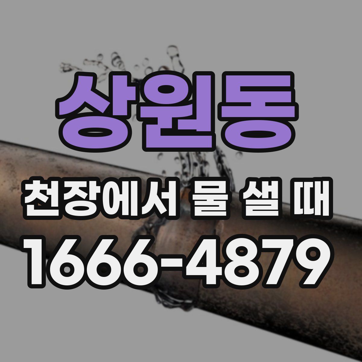 상원동 천장에서 물 샐 때