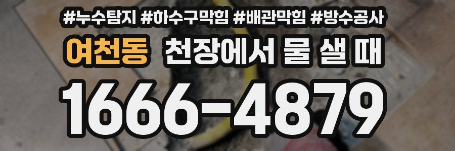 여천동 천장에서 물 샐 때