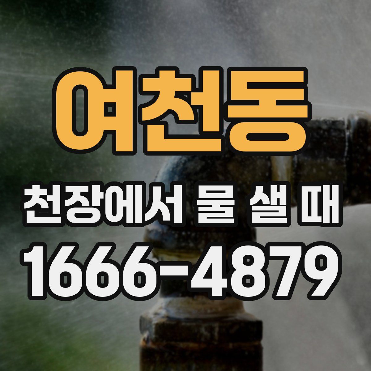 여천동 천장에서 물 샐 때