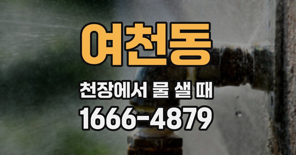 여천동 천장에서 물 샐 때