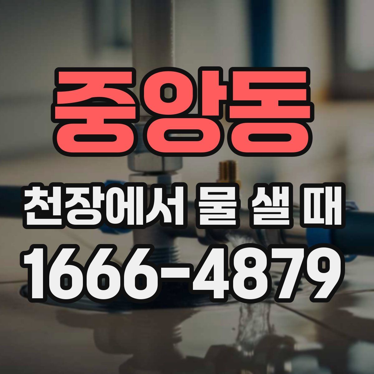 중앙동 천장에서 물 샐 때
