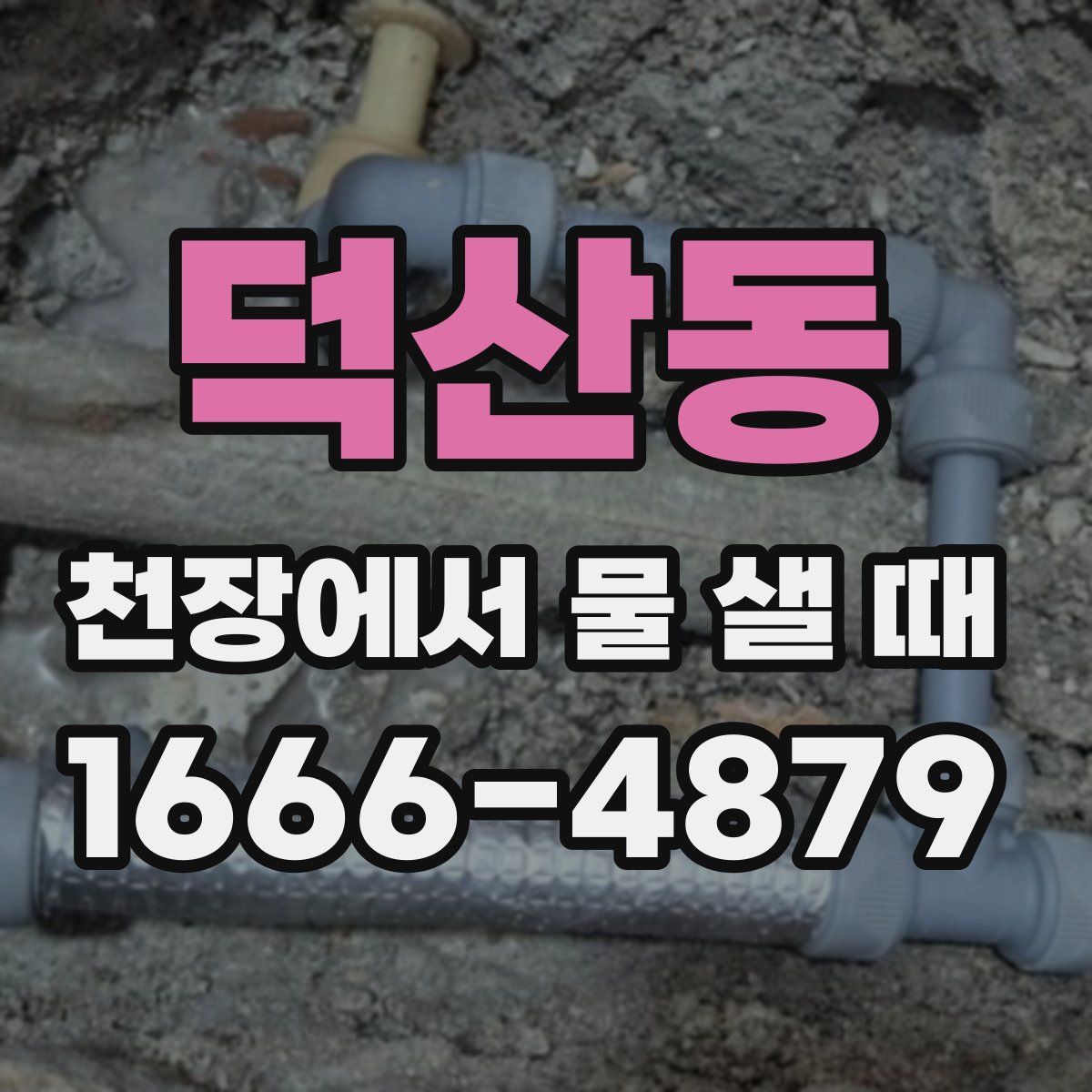 덕산동 천장에서 물 샐 때