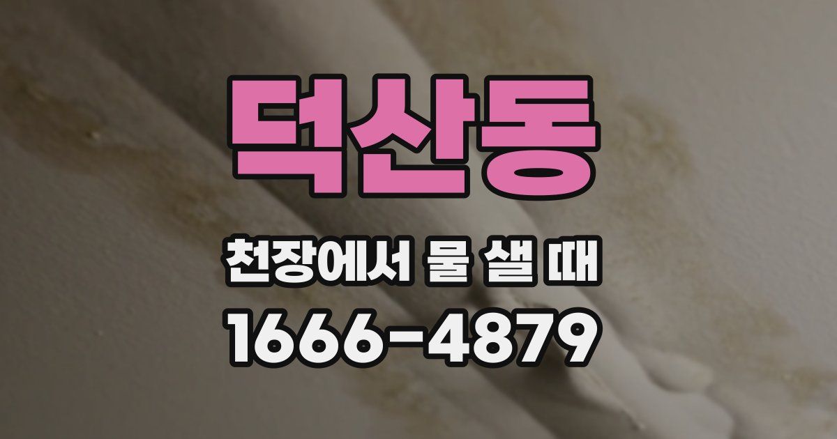 덕산동 천장에서 물 샐 때