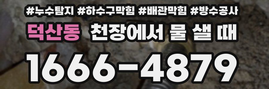 덕산동 천장에서 물 샐 때