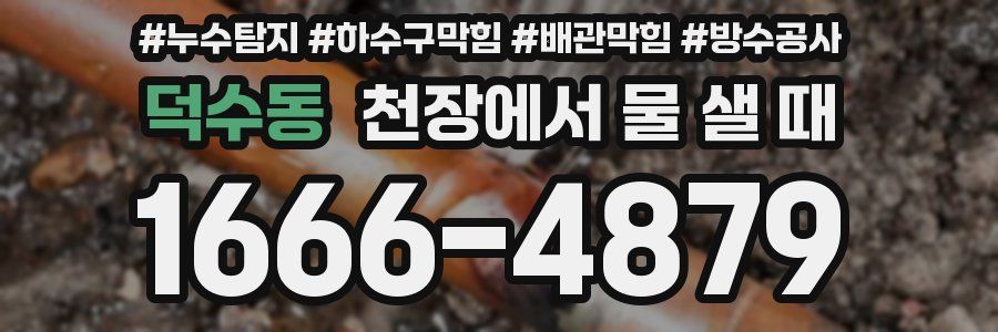 덕수동 천장에서 물 샐 때
