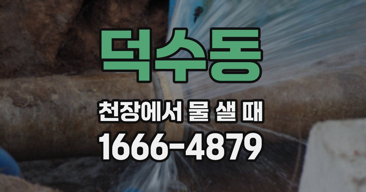 덕수동 천장에서 물 샐 때